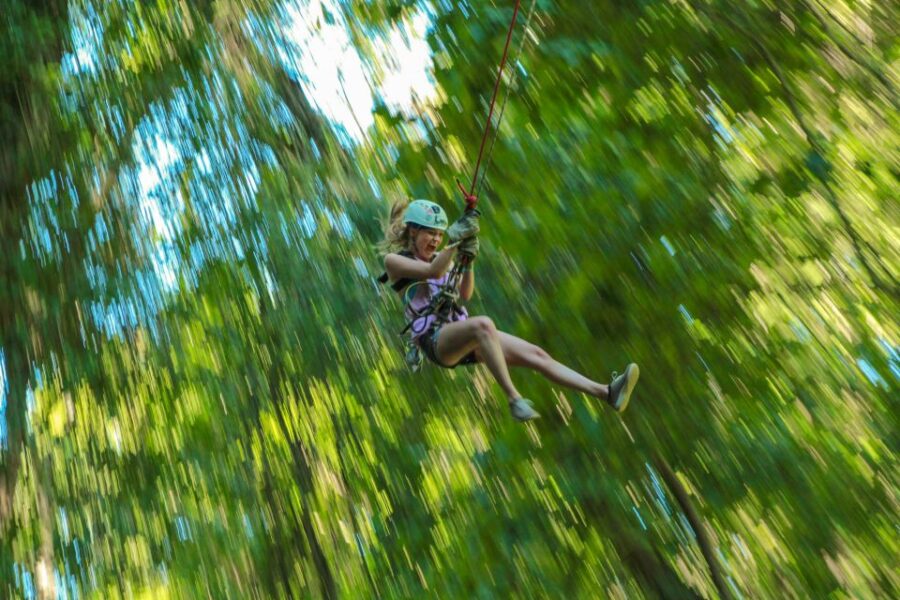 Los Cabos: Zip Lines and UTVs With Mexican Lunch and Drinks - Activity Overview