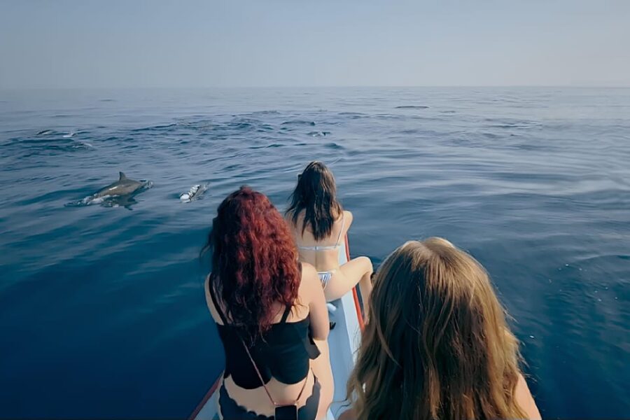 Lovina-Bali: Dolphin Watching & Snorkeling; Hot Spring - Overview of the Activity