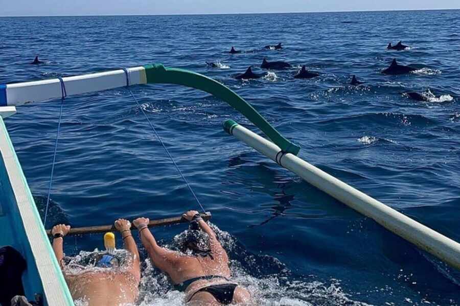 Lovina Dolphin Watching, Snorkeling and Swim With Dolphin