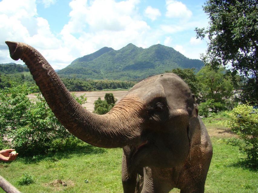 Luang Prabang: 4-Day Explorer Tour