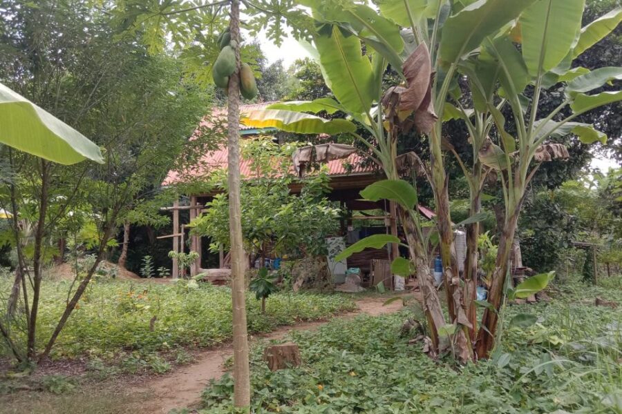 Luang Prabang: Organic Farm Experience & Hike to Kuang Si - Activity Overview