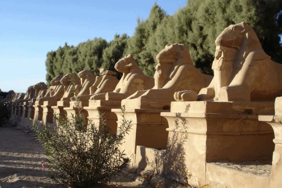 Luxor: Medinat Habu & Valley of the Queens Private Day Tour