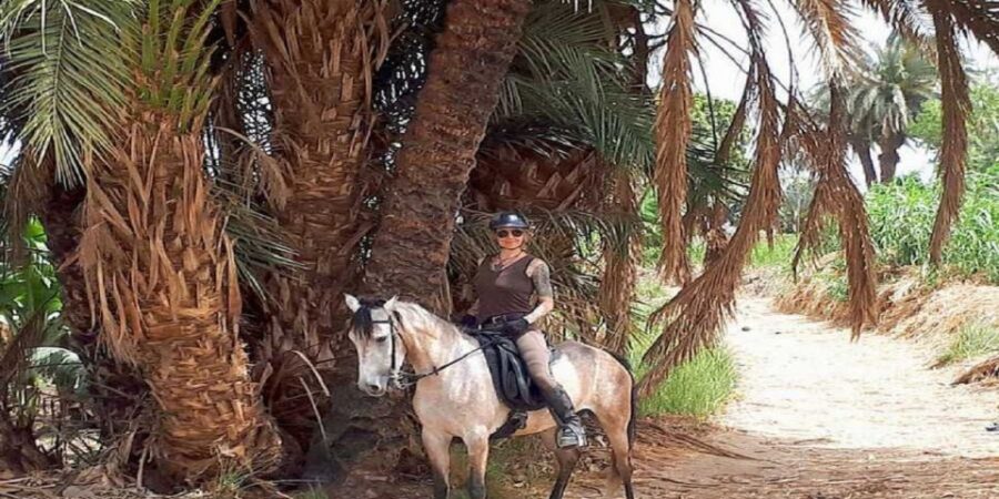 Luxor: Scenic Camel or Horse Ride - Activity Overview