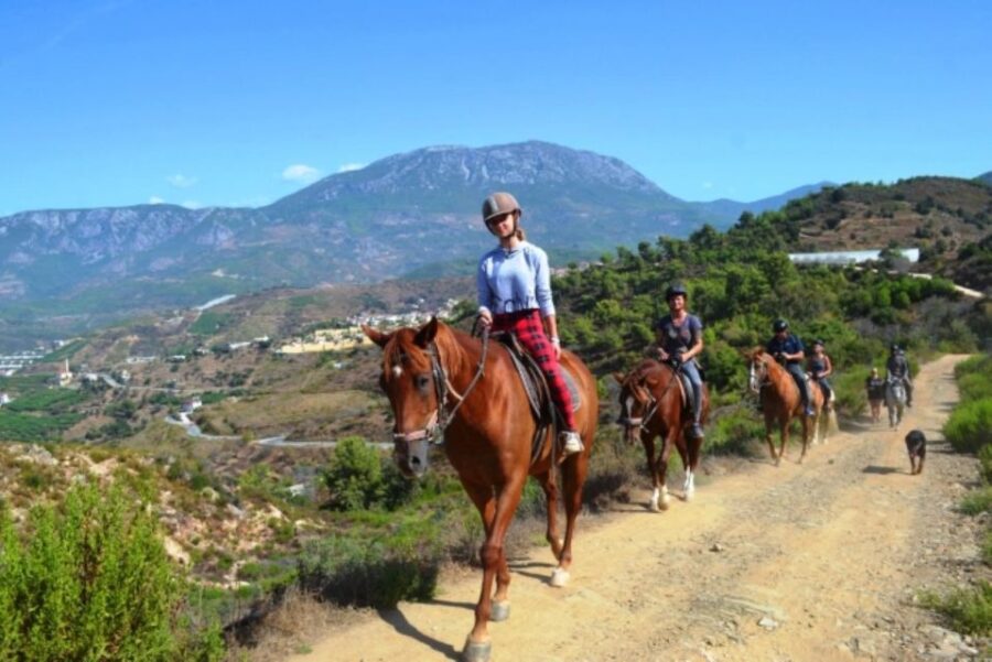 Luxury Harem Maldives Alanya: All Inclusive Boat Adventure - Overview and Pricing
