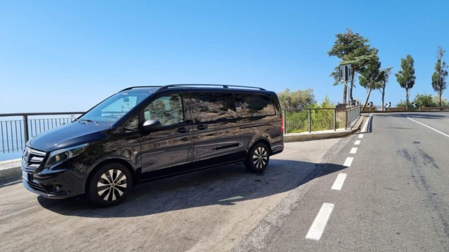 Luxury Van Transfers: Naples Train Stations - Service Offerings