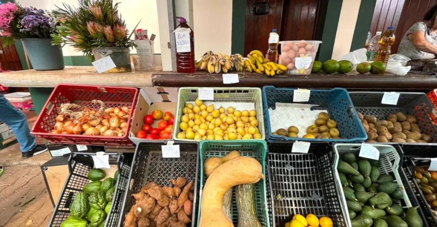 Madeira: East Santana, Sao Lourenço & Local Farmers Market - Tour Overview
