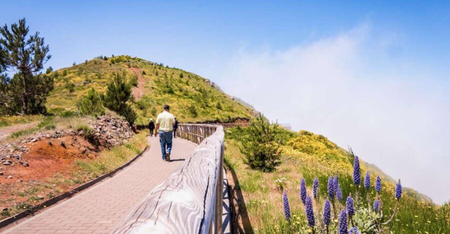 Madeira : Full Day Adult Only East 4x4 Tour