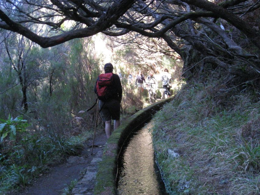 Madeira: Guided Full-Day Rabaçal Walk