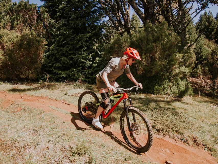 Madeira : Mountain Bike Trail Experience - Activity Overview