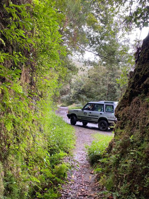 Madeira Mystery Tour Half-Day – Private 4×4 Jeep