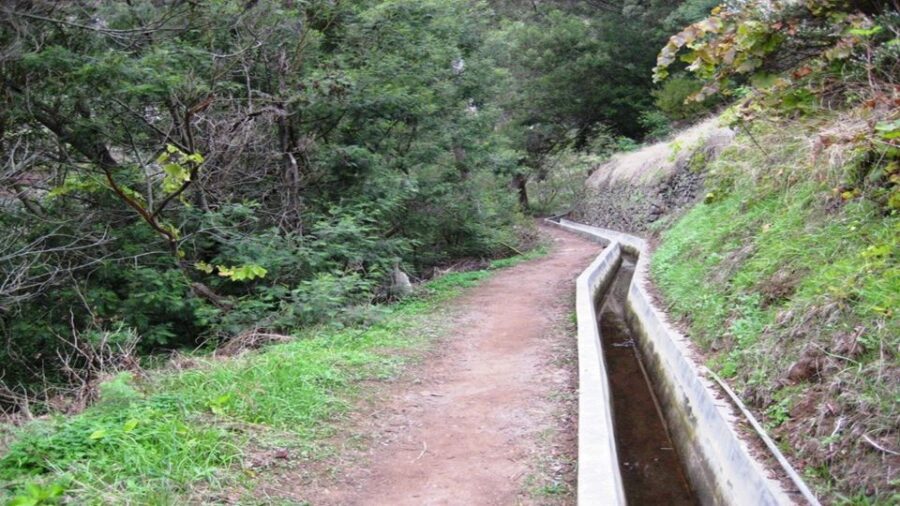 Madeira: Private Hike From Levada Do Caniçal to Machico - Overview of the Hike