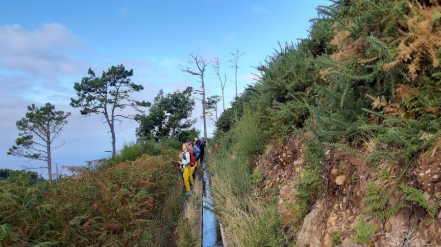 Madeira: Private Levada Ponta Do Pargo Walk - Activity Overview