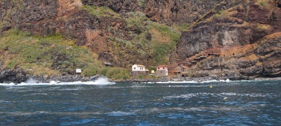 Madeira: Yacht Tours – Wildlife & Bays, Sunset, Desert Isles