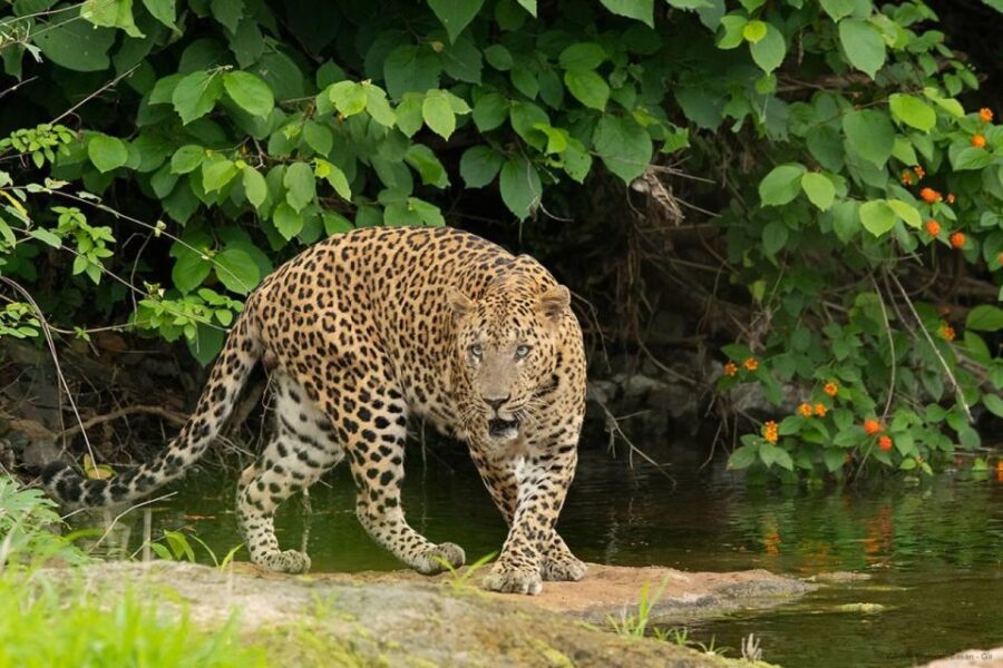 2 Best Tours In Jabalpur