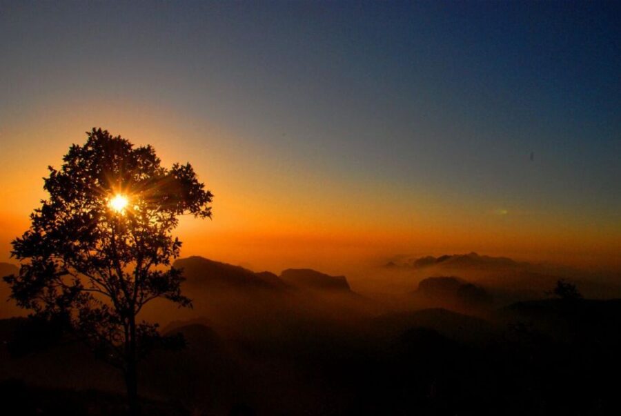 4 Best National Park Tours In Nagpur