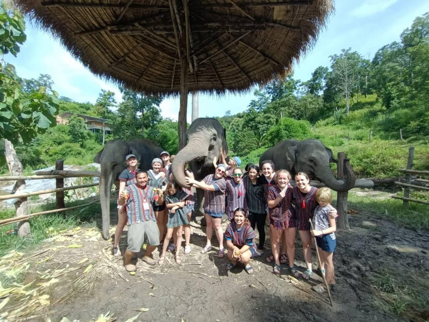 Maewang, Chiangmai: Elephant Jungle Park Day Tour