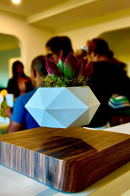 Magnetic Floating Terrarium Workshop