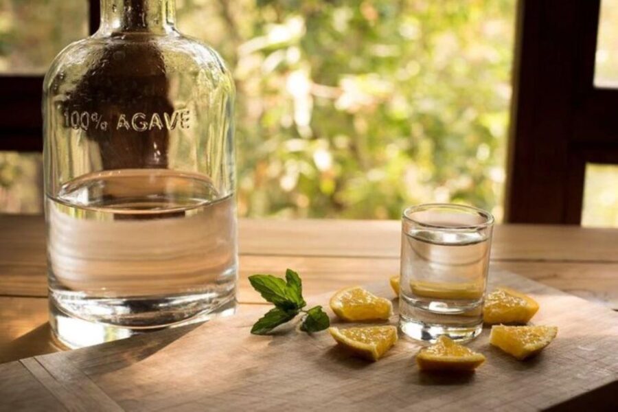Mahahual: Authentic Mezcal & Tequila Tasting Experience