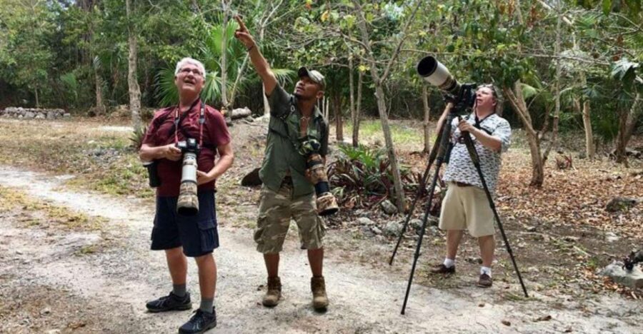 Mahahual: Costa Maya Birdwatching Experience