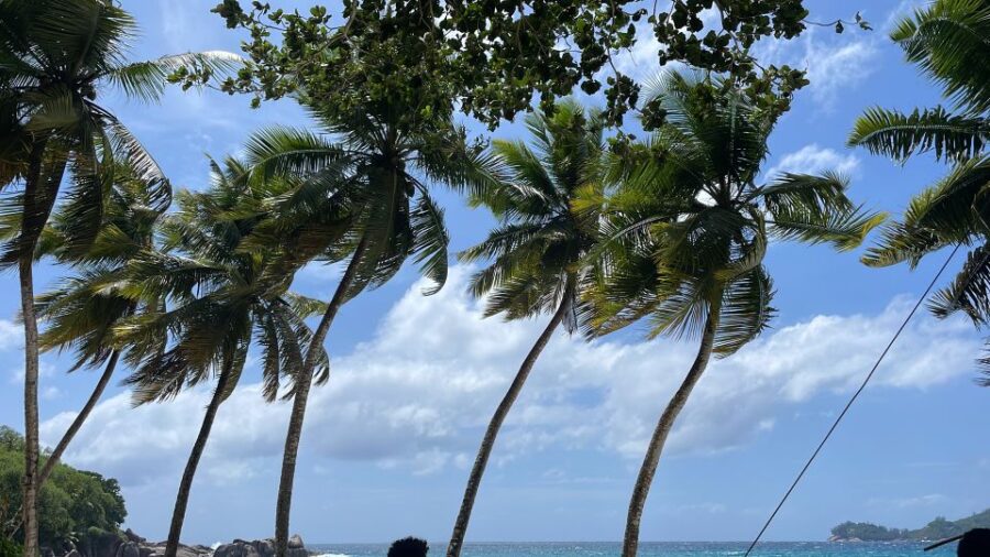 4 Best Full-Day Tours In Mahe