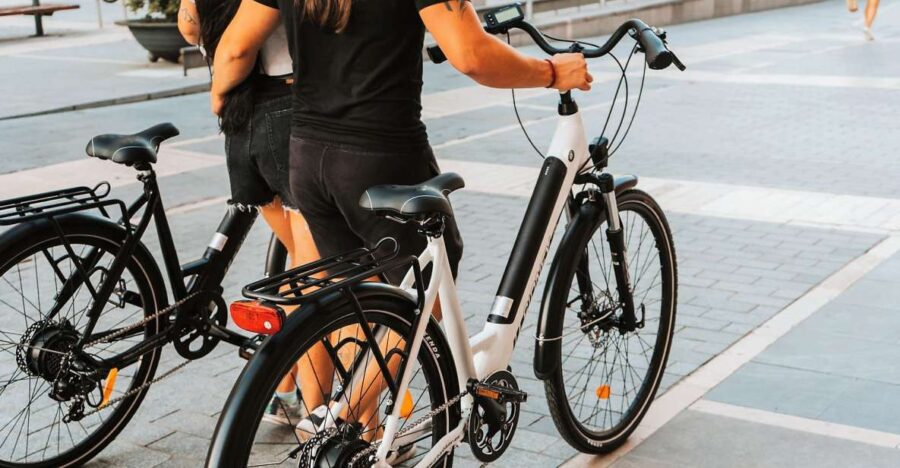 Malaga: Electric Bike Rental - Overview of Electric Bike Rental