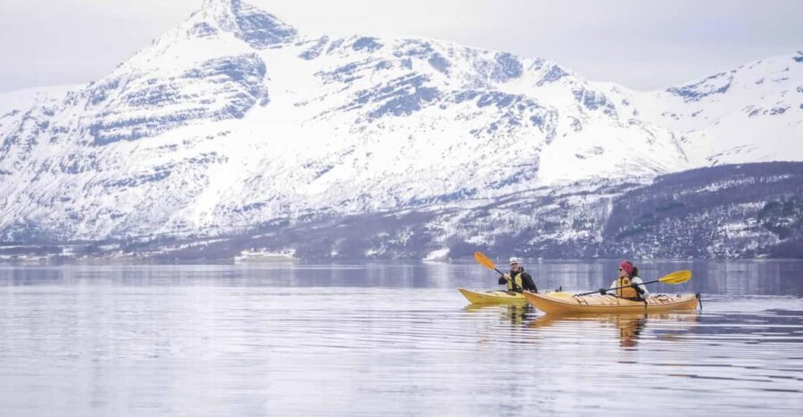 Malangen: Fjord Kayaking With Lunch - Activity Overview