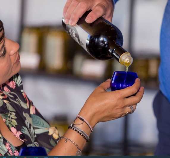 Mallorca: Bodega & Olives Minibustour With Tastings ENGLISH