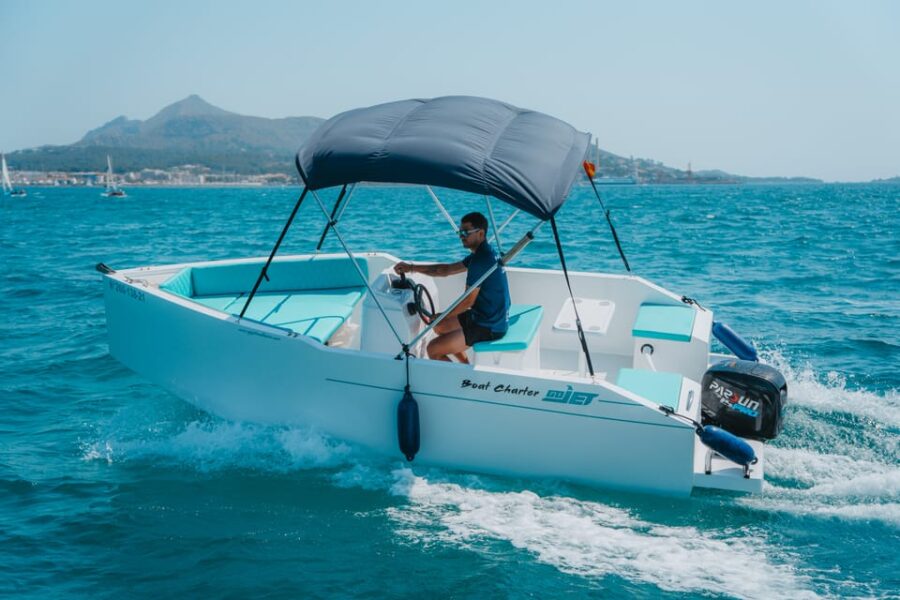 Mallorca: North Coast Afternoon Small Boat Charter