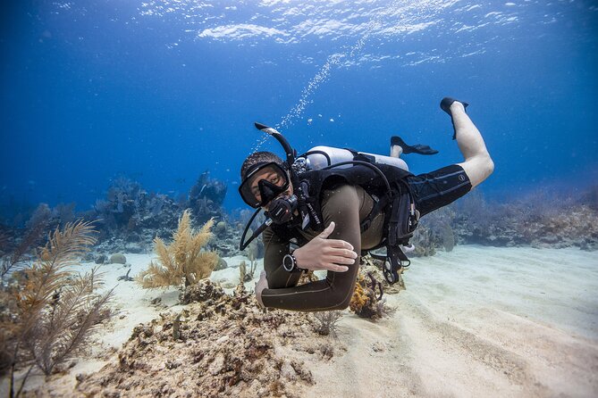 Mallorca PRIVATE Scuba Dive + Photo/Video - Overview