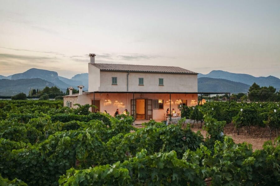 Mallorca: Sunset Wine Tasting Minibus Tour - ENGLISH GUIDE - Tour Overview