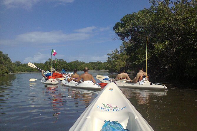 Mangroves Paddling Tour and Sunset - Tour Overview