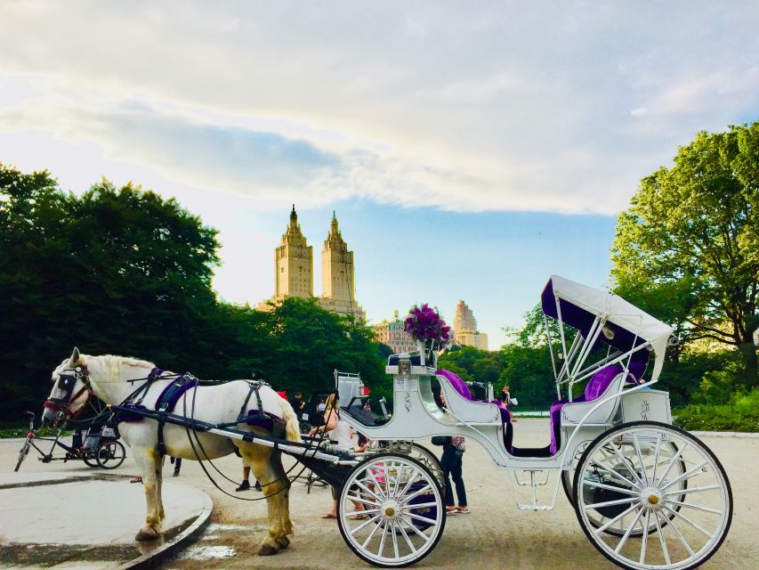 Manhattan: VIP Private Horse Carriage Ride in Central Park - Experience Overview