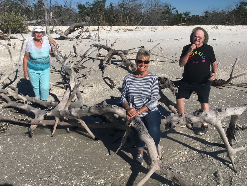 3 Best Dolphin Watching Tours In Marco Island