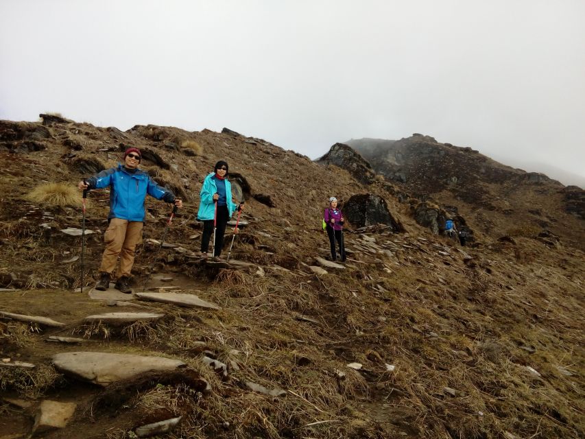 Mardi Himal Base Camp Trek From Pokhara - Trek Overview