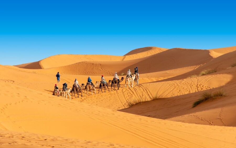 Marrakech: 3-Day Trip to Fes via Merzouga Desert &Camel Ride
