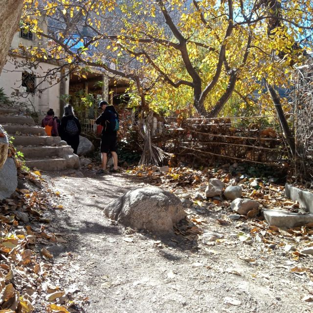 Marrakech: Atlas Mountain Ourika Valley, Waterfall and Guide