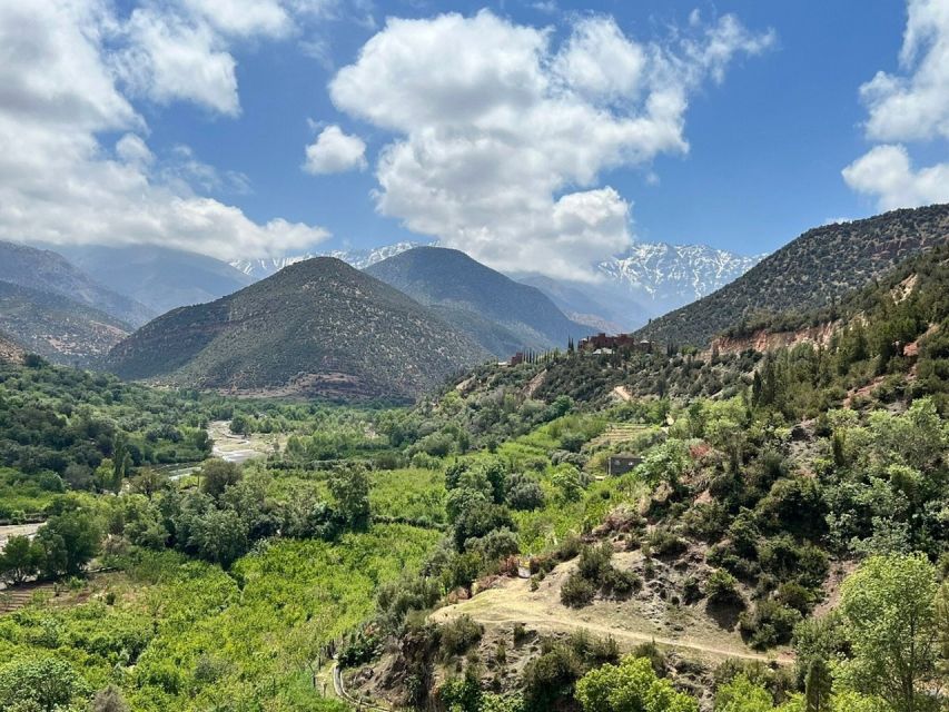 Marrakech: Atlas Mountains, Agafay Desert, Waterfall & Lunch - Overview of the Trip