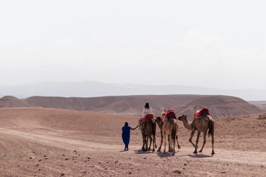Marrakech: Camel Ride Experience in Agafay Desert