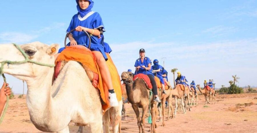 Marrakech : Camel Ride in Palmeraie With Tea Break