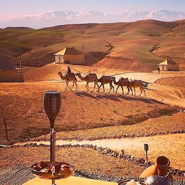 Marrakech: Desert Quad Bike With Dinner, Show, & Live Music