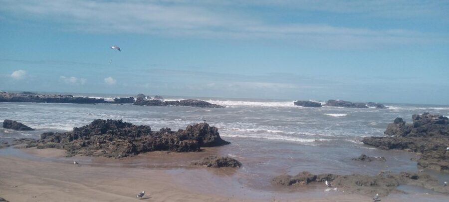 Marrakech: Essaouira Day Trip With Womens Argan Co-Op Visit - Trip Overview