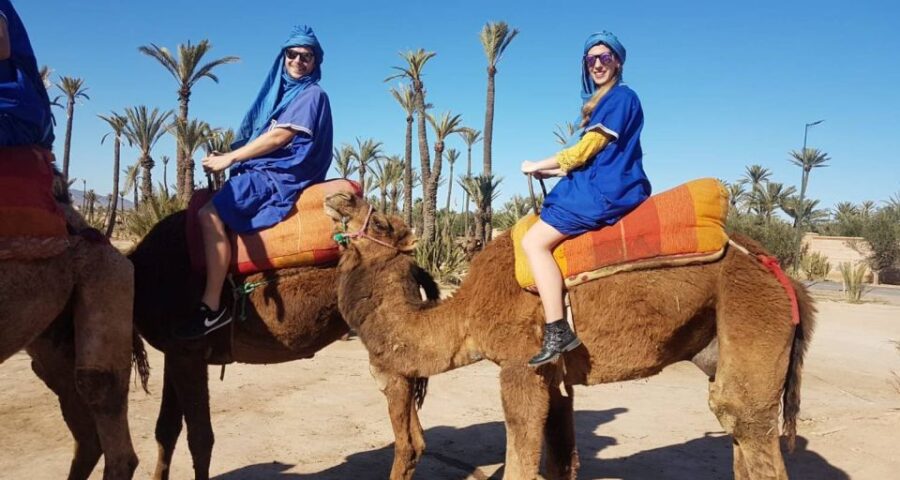 Marrakech: Menara, Secret Gardens Tour With Camel Ride