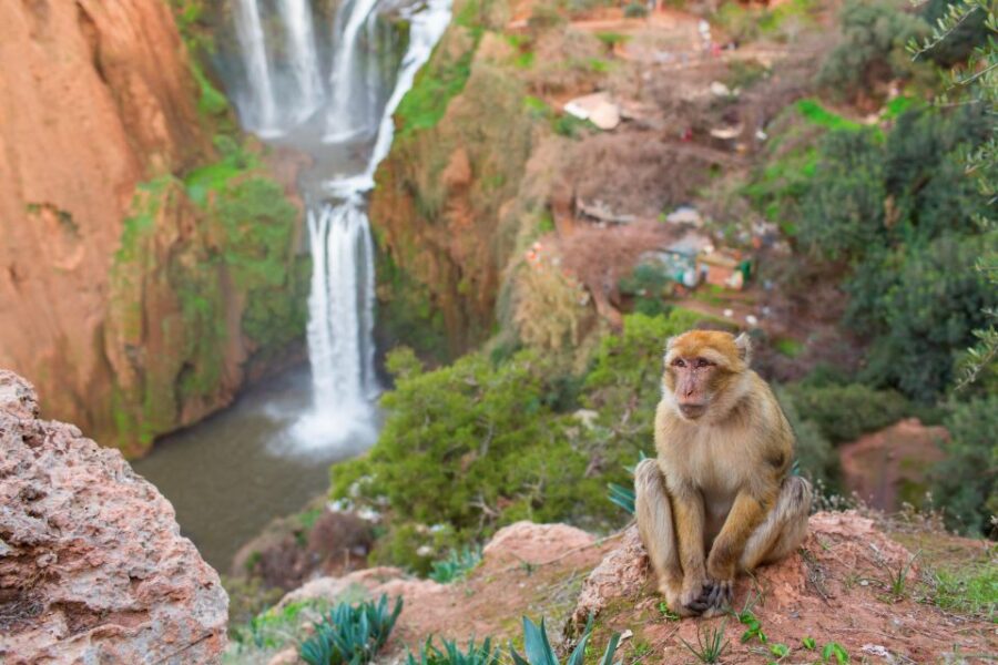 2 Best Guided Tours In Beni Mellal