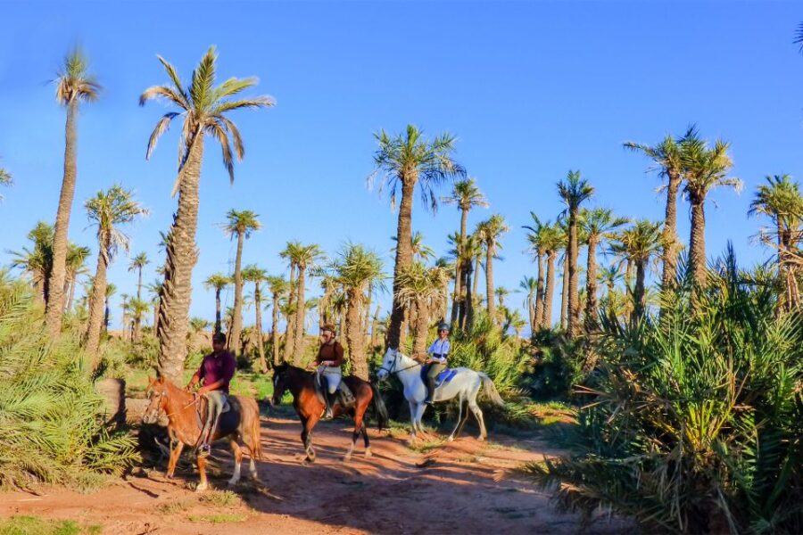Marrakech: Palm Grove Horseback Riding Tour - Tour Overview and Pricing