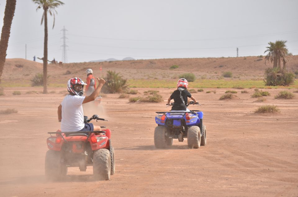 Marrakech: Palm Grove Quad Bike Tour