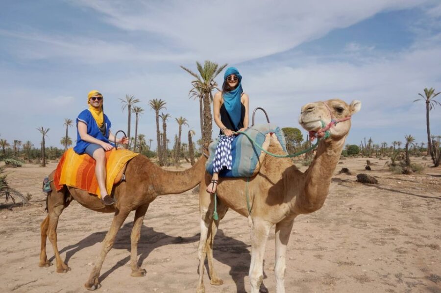 Marrakech Palmeraie: Camel Ride at Sunset
