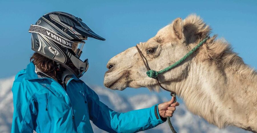 Marrakech Palmeraie : Exciting Camel Ride & Quad Bike - Overview of the Experience