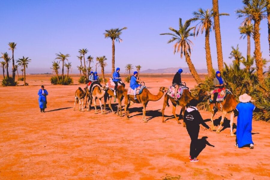 20 Best Bike Tours In Marrakech