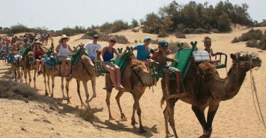 25 Best Guided Tours In Gran Canaria