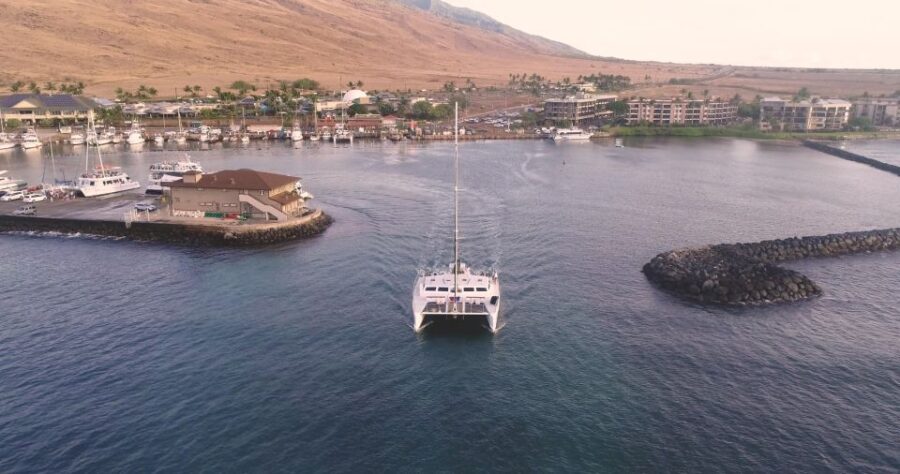 Maui: Alii Nui Whale Watch & Catamaran Sail
